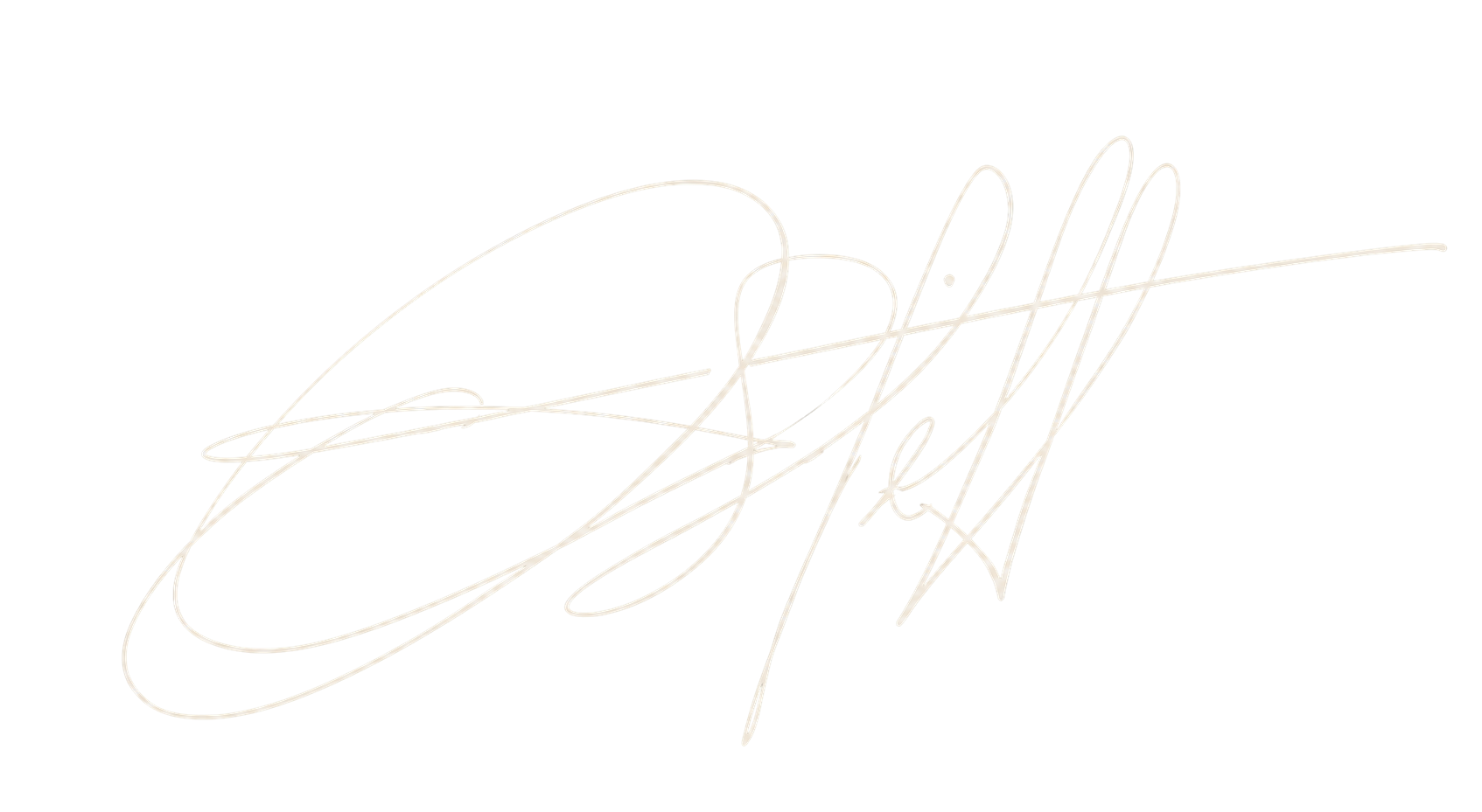 Firma Dr. Steffan